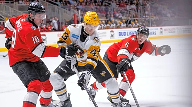 Wilkes Weekly: Murahov AHL player of week, Pens stay perfect