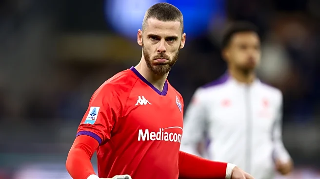 Inter Milan 3-0 Fiorentina: Match report