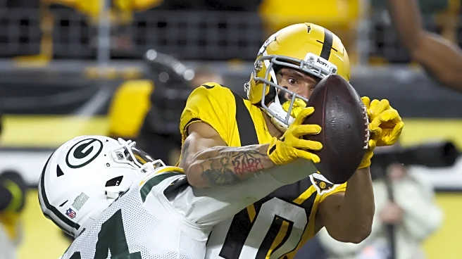 It’s time for the Steelers to let Roman Wilson shine