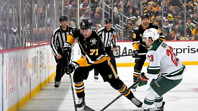 Pens Points: Into the Wild