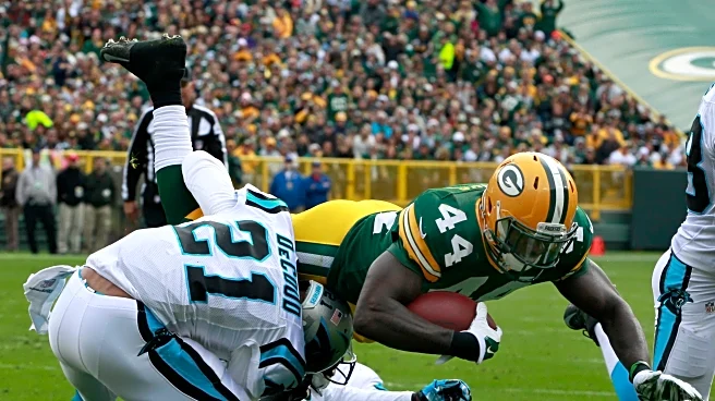 Panthers vs Packers: Defensive Preview