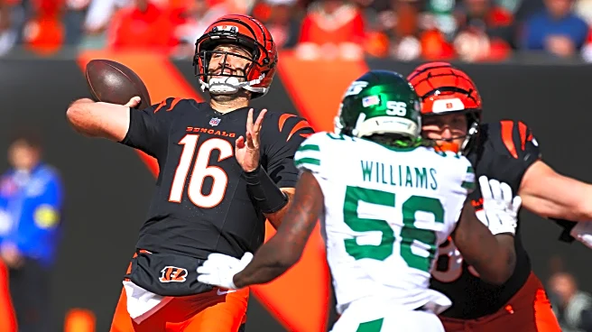 Week 9 game preview: Bears vs. Bengals