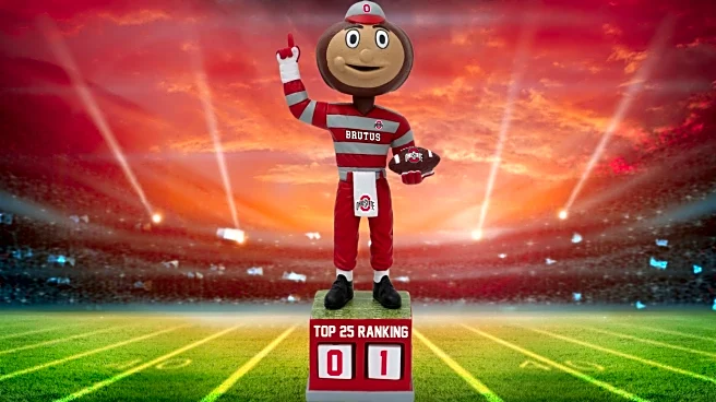 Get your limited-edition Brutus Top 25 tracker bobblehead