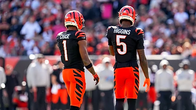 Bengals vs. Bears game time, TV channel, online stream, odds, and predictions