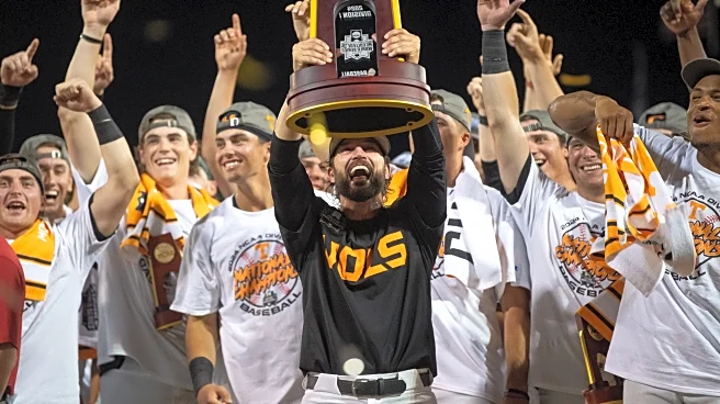 The vibes are immaculate