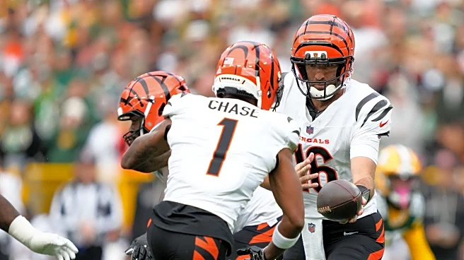 5 Questions with Cincy Jungle: Can the Bears bounce back?