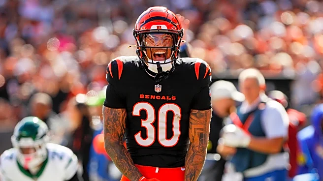 Bears vs. Bengals: Keys to a victory