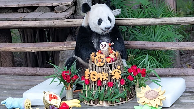 The Daily Hilario: Saturday