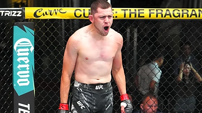 UFC Vegas 110 predictions