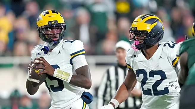 Survey Results: Fans vote for balanced Michigan Football offensive approach
