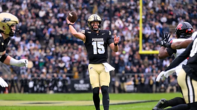 Hammer and Rails Reader Survey Results – Who is Your QB1?