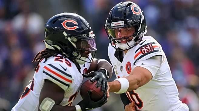 Chicago Bears @ Cincinnati Bengals: 4 Most Important Players