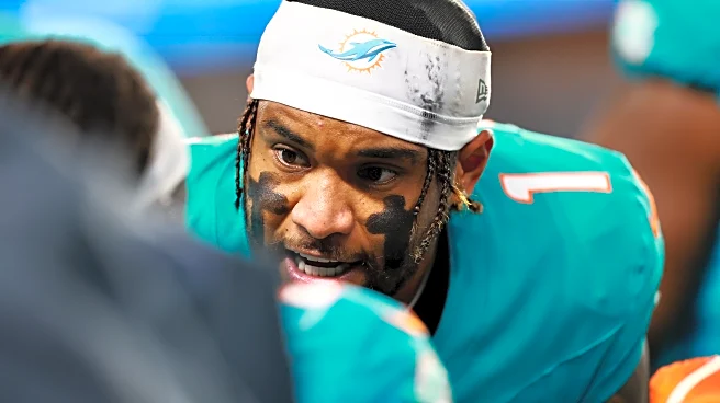 How many wins will the Dolphins have in 2025?