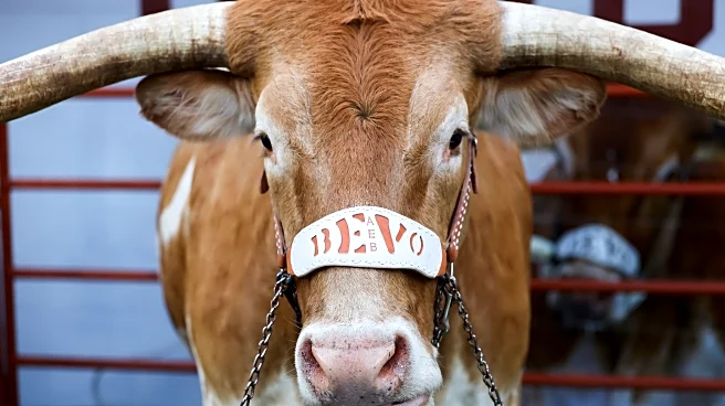 No. 20 Texas 34, Vanderbilt 31 final score: Horns hold on late against attempted comeback