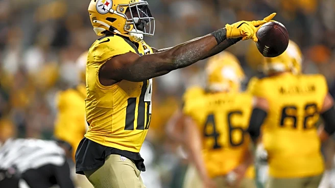 Steelers WR DK Metcalf fined for penalty vs. Packers