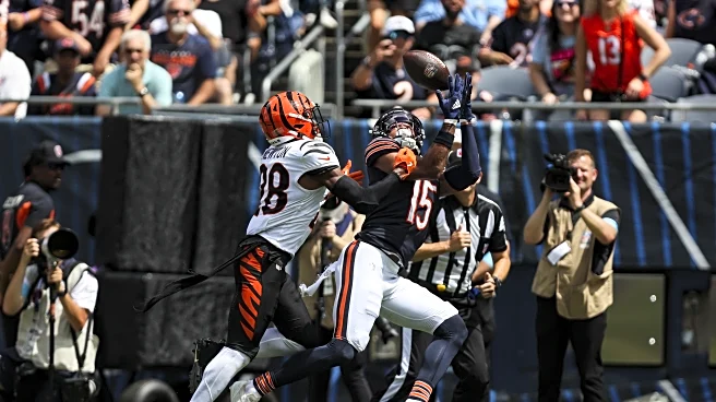 Bears vs. Bengals: How to watch or listen, game previews, odds, and more