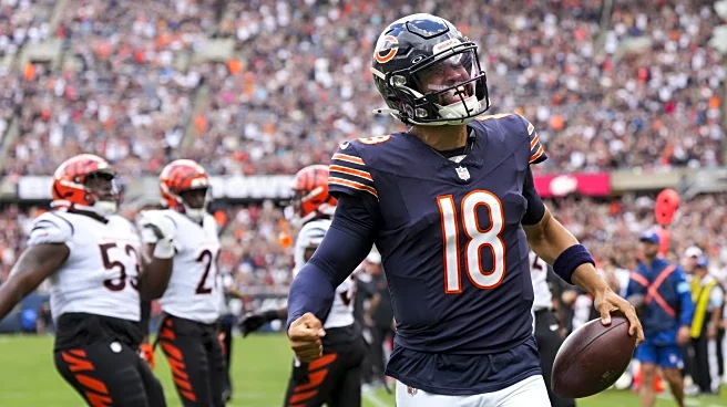 WCG Predicts: Chicago Bears vs Cincinnati Bengals