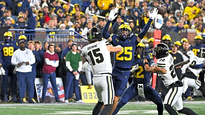 PFF snap counts, grades from Michigan Football’s win over Purdue