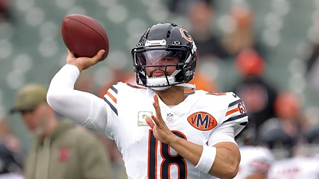 Chicago Bears vs. Cincinnati Bengals Open Thread