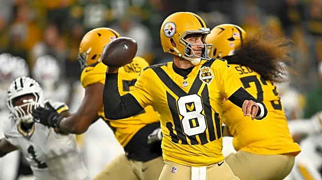 AFC Playoff Picture: Pittsburgh Steelers win to solidify division lead