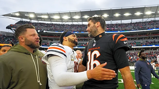 It’s a Bears Win Den! November 3, 2025