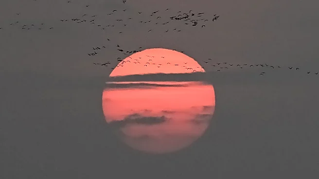 Snake Bytes, 11/3: The Offseason begineth