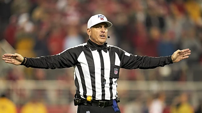 49ers once again win despite meddling from officiating crew