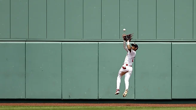 Ceddanne Rafaela wins Gold Glove Award, duh