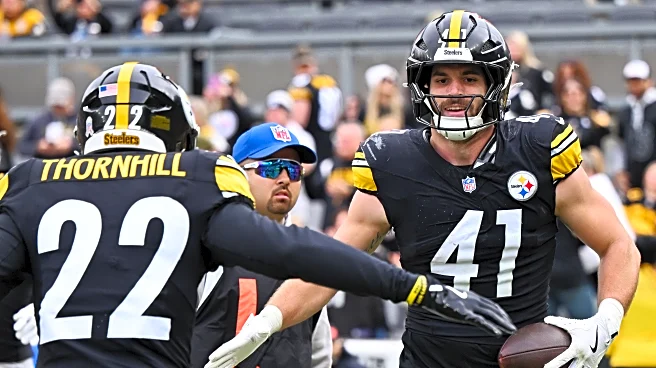 Steelers defense made subtle, but unique change in win over Colts