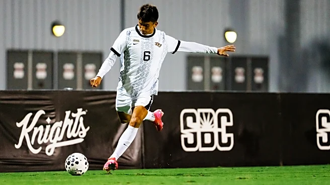 KnightCap: The Hunt For An Unbeaten October