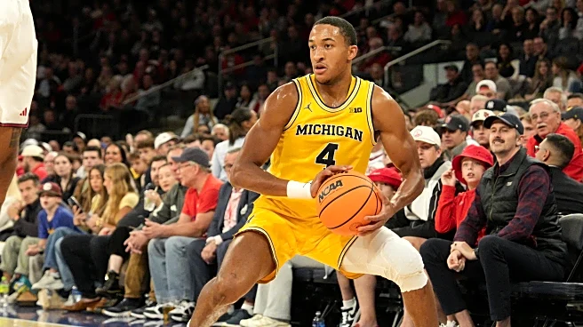 2025-’26 Michigan Wolverines Basketball Season Preview