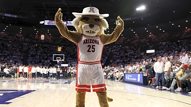 Arizona men’s basketball vs. Florida game thread