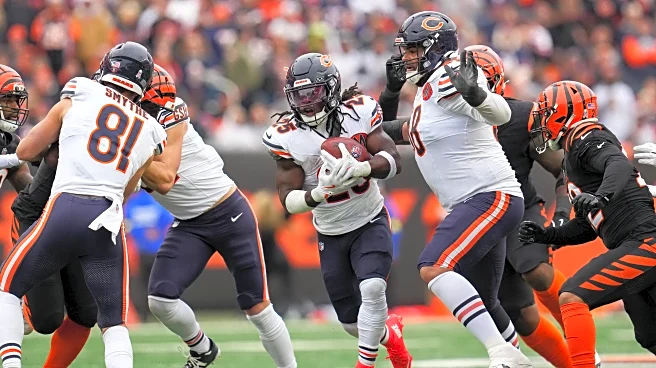 Bear & Balanced: Chicago Bears rookies make a statement