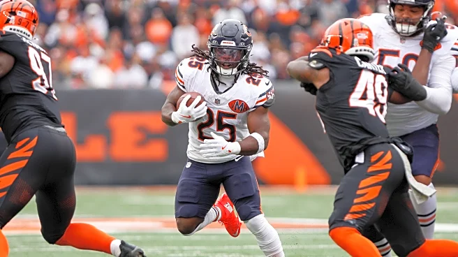 The Bear’s Den, November 4, 2025