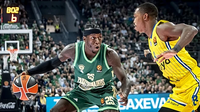 Illini Abroad: Checking in on Ex-Illini Hoopers Around the Globe