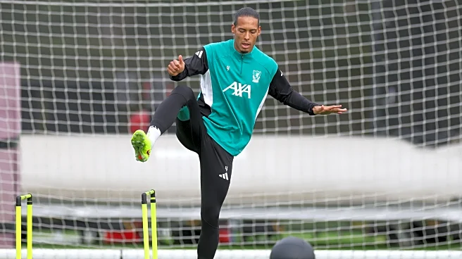 Virgil van Dijk: “These are the nights you live for as a footballer”