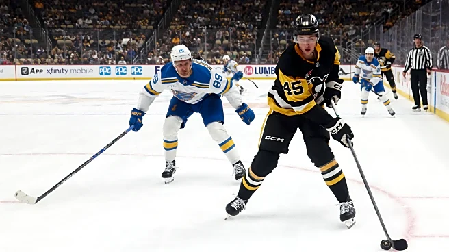 The pros and cons of keeping Harrison Brunicke in the NHL