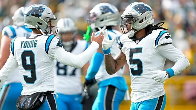 Panthers vs Packers game review: Winning on the fringes