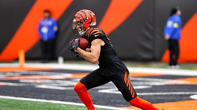 Boilers in the NFL: Week 9