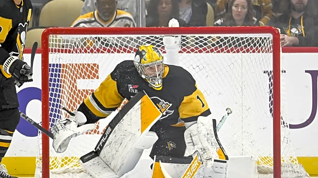 Penguins call up Heinen, Graves, Murashov; Jarry, Acciari, Brazeau to IR