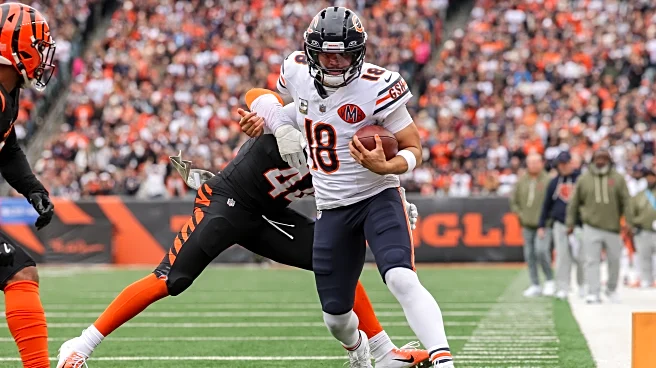 Chicago Bears Sackwatch 2025: Week 9 vs Cincinnati Bengals