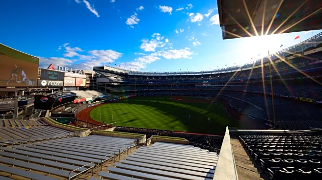 Today on Pinstripe Alley – 11/6/25