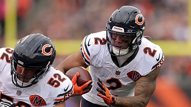 The Bear’s Den, November 6, 2025