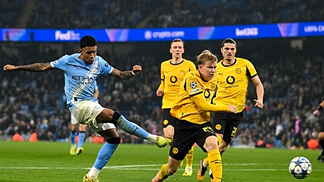 The Daily Bee: Reactions to BVB’s 4-1 Loss to Manchester City in the Champions League