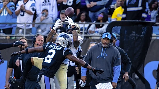 Panthers vs Saints: Defensive Preview