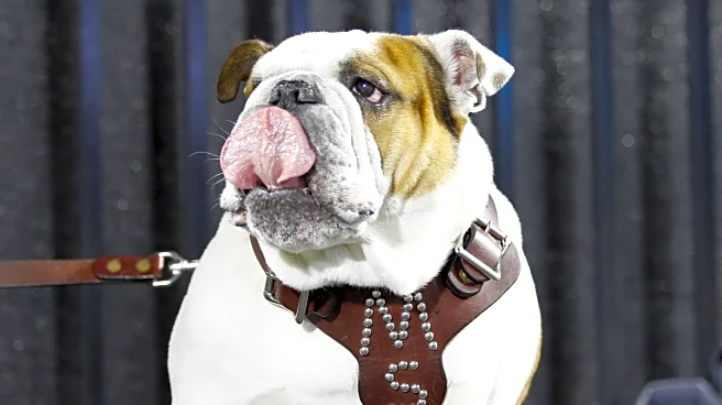 3 Things That Worry Me About Mississippi State