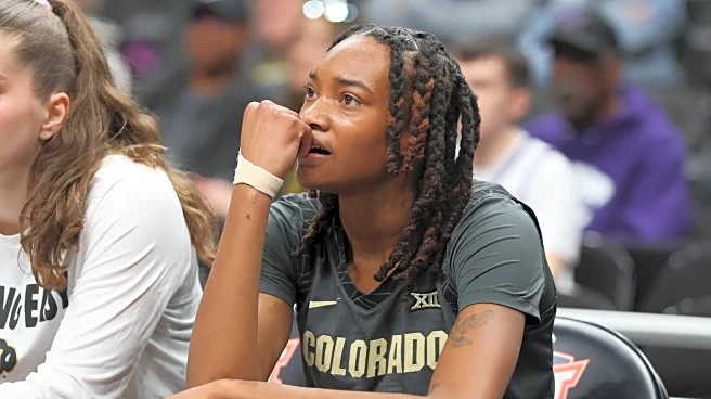 Colorado Buffaloes take on New Mexico in season opener