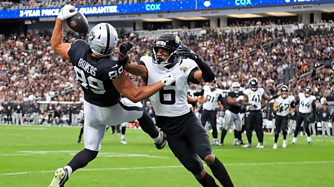 Dawgs in the NFL: Brock is back