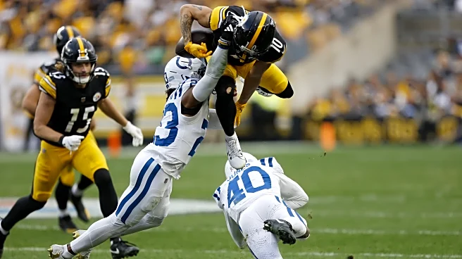 Steelers not giving up on Roman Wilson after bad fumble