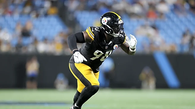 Steelers release DE DeMarvin Leal